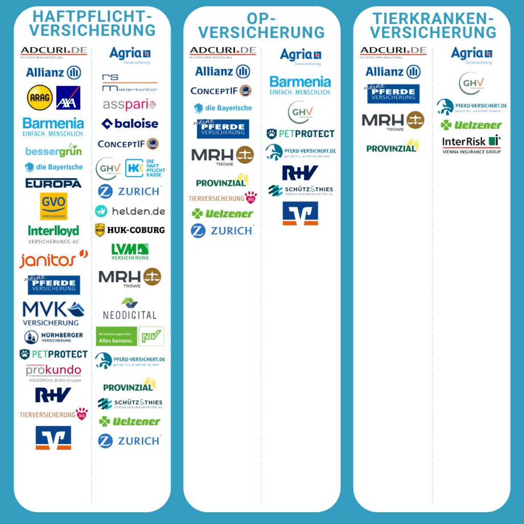 Pferd Versicherung Überblick Vergleich Testsieger Leistungen Kosten