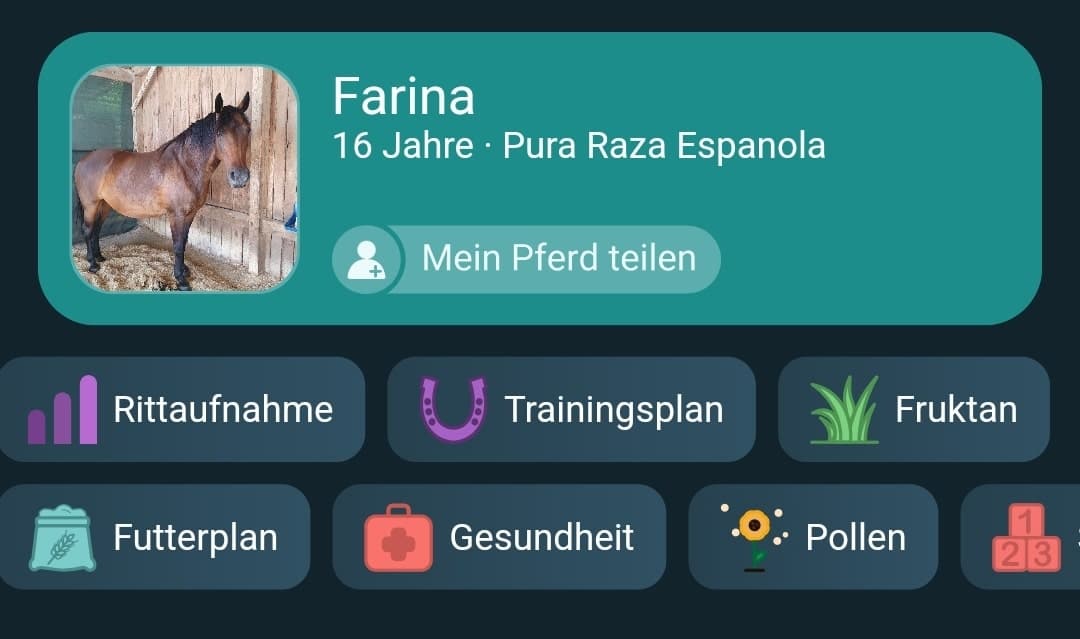 Happie Horse App Erfahrungsbericht Titelbild