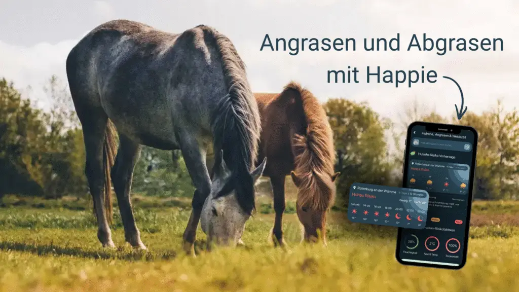 Zwei Pferde grasen auf einer Weide. Im Vordergrund wurde ein Handy-Screen mit der Happie Horse App eingefügt. Die Überschrift lautet: Angrasen und Abgrasen mit Happie.