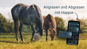 Zwei Pferde grasen auf einer Weide. Im Vordergrund wurde ein Handy-Screen mit der Happie Horse App eingefügt. Die Überschrift lautet: