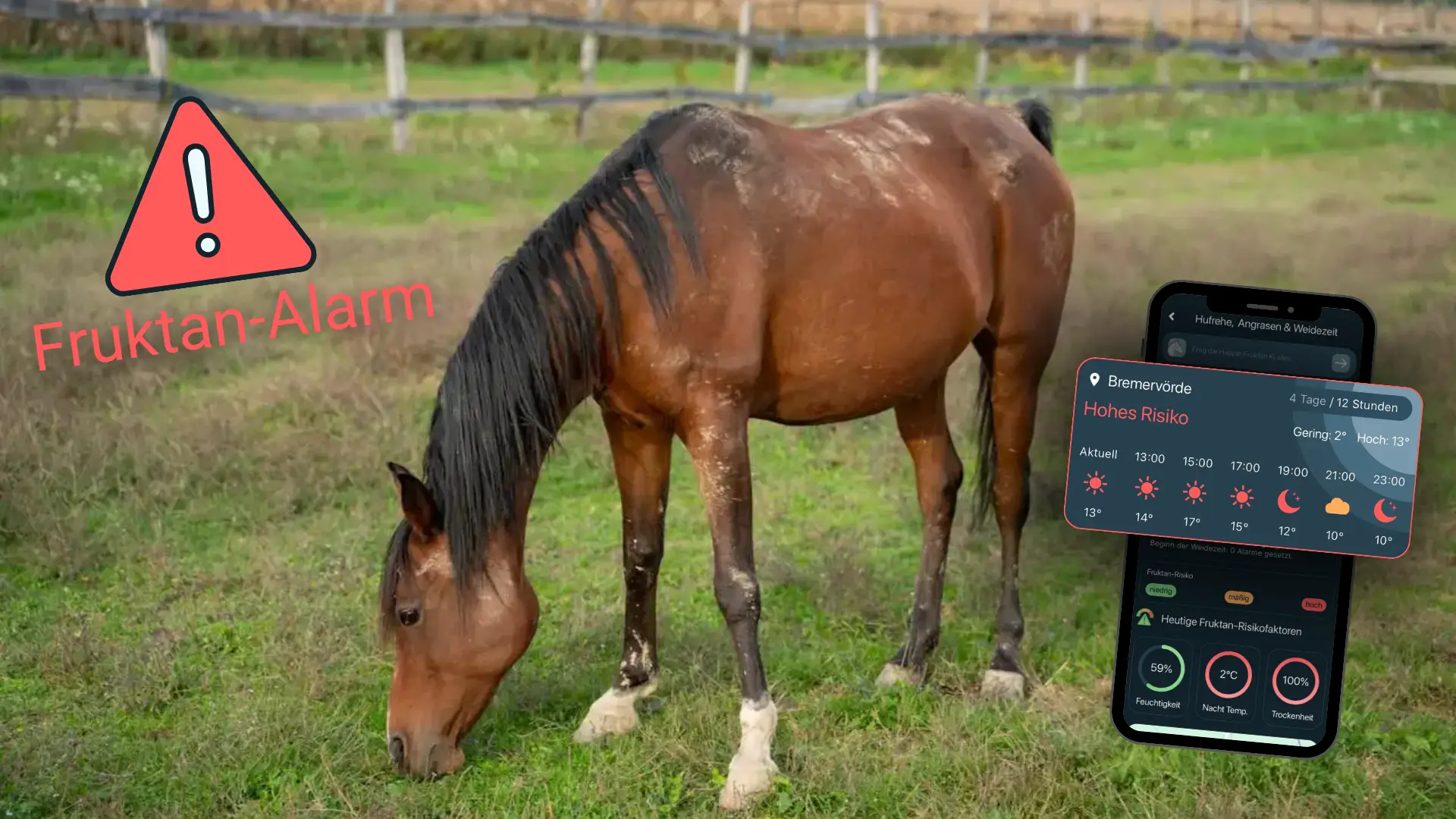 Ein braunes Pferd steht auf einer Wiese und grast. Rechts im Bild ist ein Handy mit einem Screenshot der Happie Horse App und dem Thema Fruktan eingefügt. Die Überschrift lautet: Fruktan-Alarm