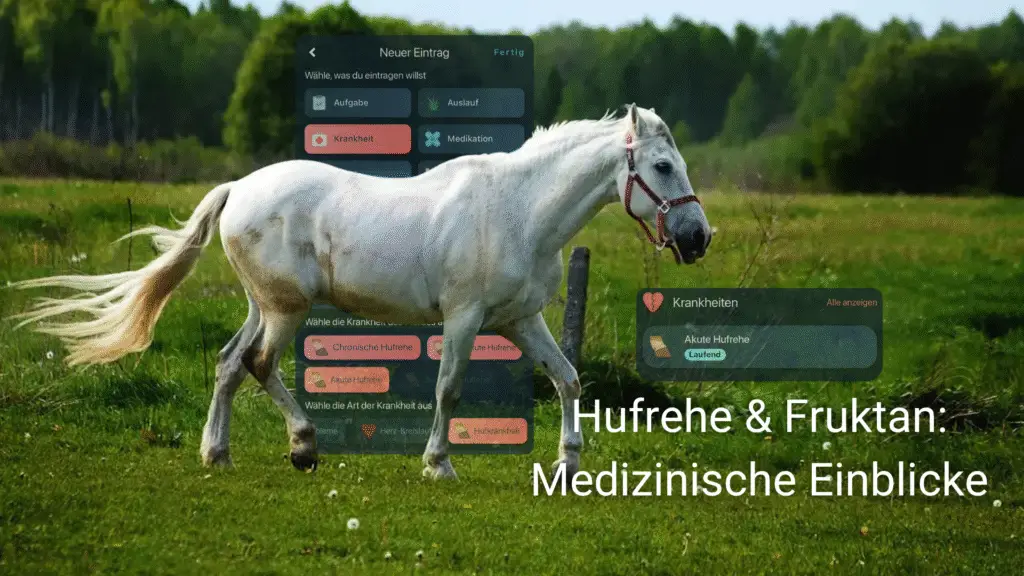 Ein weißes Pferd läuft auf einer Wiese. Im Hintergrund ist ein leicht transparenter Screen der Happie Horse App zum Thema Hufrehe eingefügt. Die Überschrift lautet: Hufrehe & Fruktan: Medizinische Einblicke.