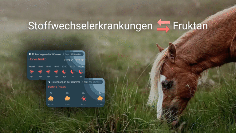 Ein grasendes Pferd kommt von der rechten Seiten ins Bild. Es ist nur der Pferdekopf und ein Teil des Halses zu sehen. Auf der linken Seite sind zwei Grafiken der Happie Horse App zum Thema Fruktan eingefügt. Die Überschrift lautet Stoffwechselerkrankungen - Fruktan.