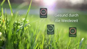 Eine Wiese mit herangezoomten Grasstängeln. Die Sonne scheint im Hintergrund. Auf der rechten Seite sind drei Grafiken der Happie Horse App zum Thema Fruktangehalt im Gras abgebildet. Die Überschrift lautet: Gesund durch die Weidezeit.