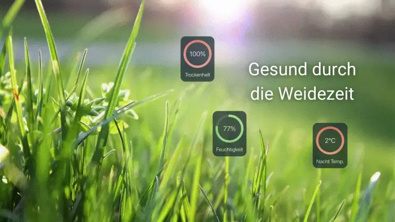 Eine Wiese mit herangezoomten Grasstängeln. Die Sonne scheint im Hintergrund. Auf der rechten Seite sind drei Grafiken der Happie Horse App zum Thema Fruktangehalt im Gras abgebildet. Die Überschrift lautet: Gesund durch die Weidezeit.