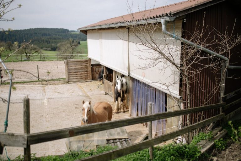 Stable Air Quality cover