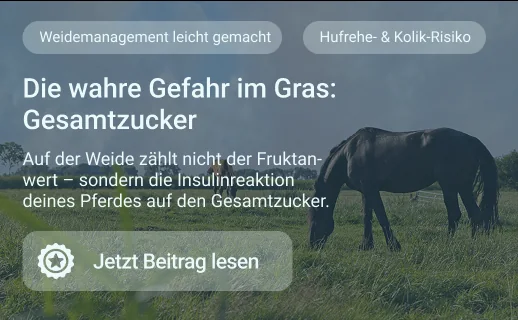 Zucker statt nur Fruktan