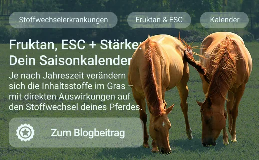 Der Saisonkalender