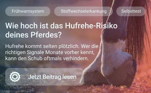 Hufrehe-Selbsttest
