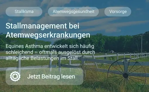Stallklima im Herbst