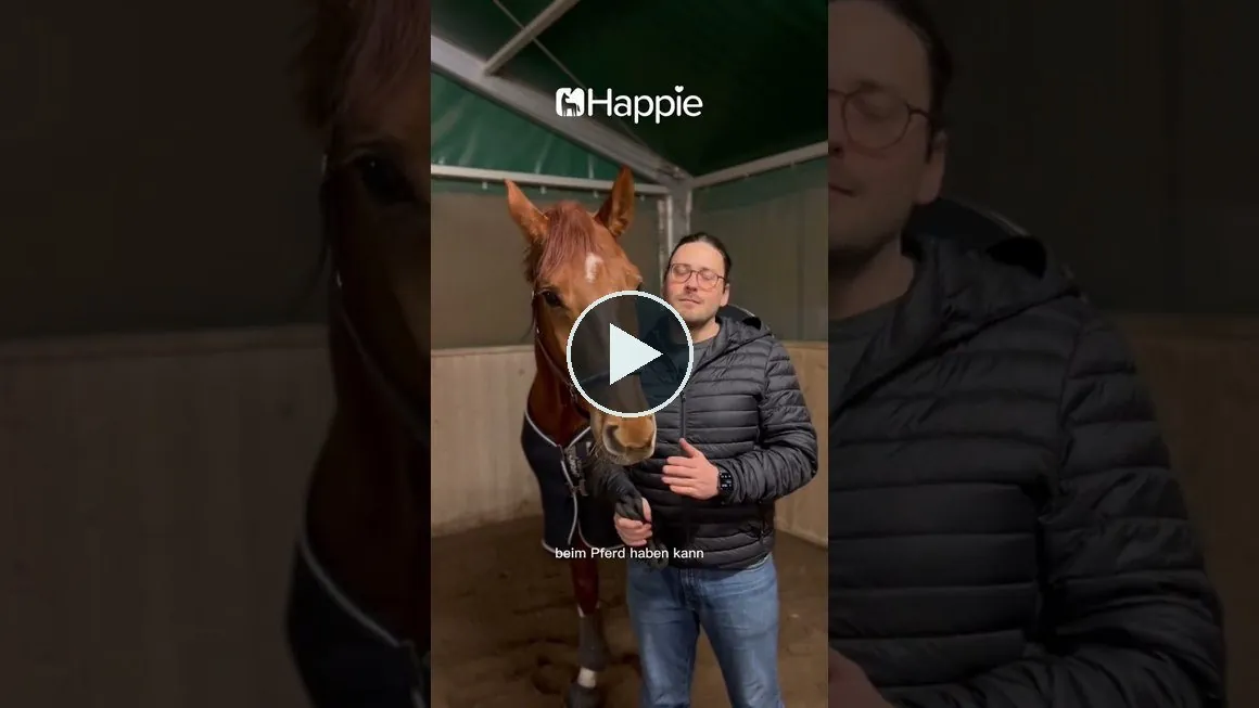 Video: Warum wurde die Happie Horse App gegründet?