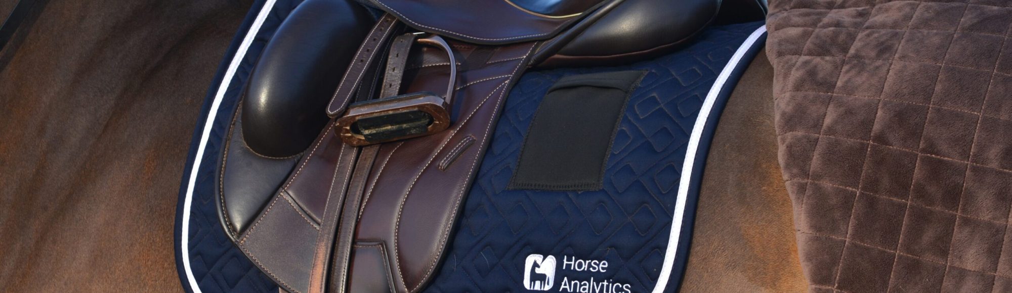 Bay Horse with Brown Dressage saddle close up