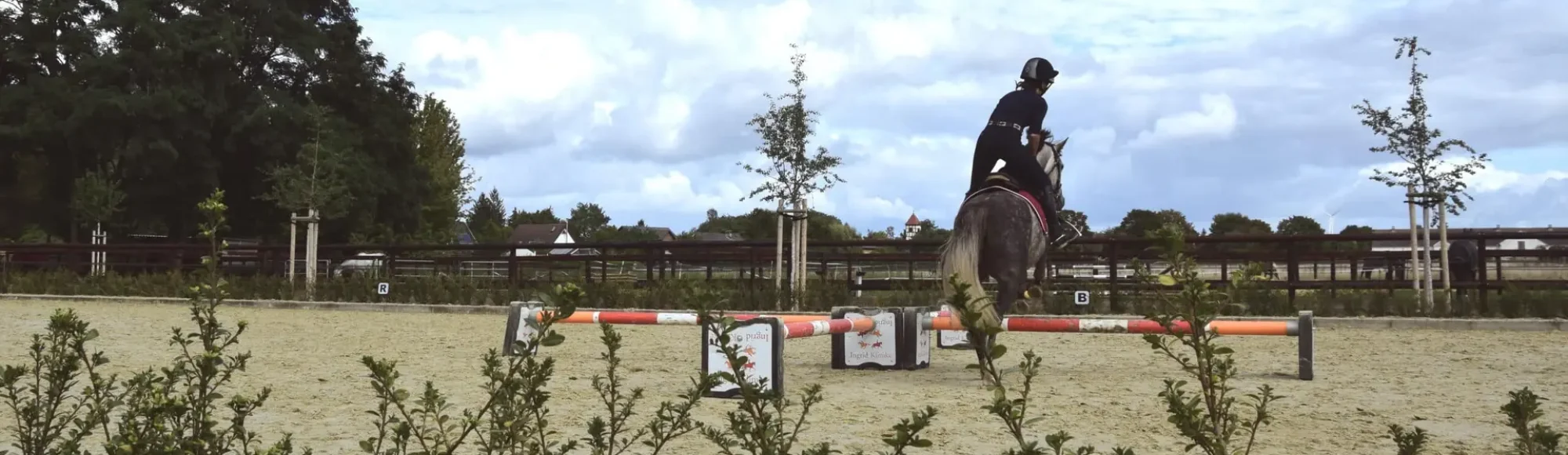 Schimmel Reitpony spring über Ingrid Klimke Cavaletti mit Reiterin