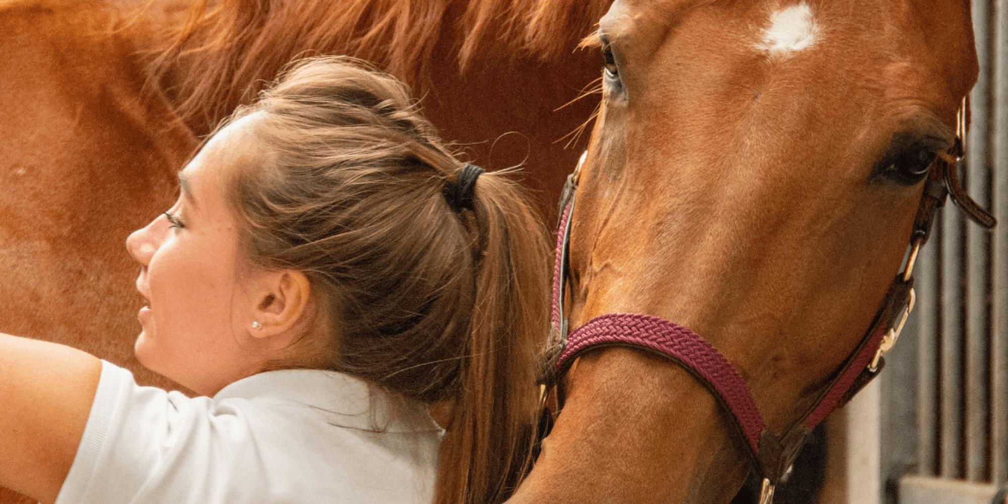 Chestnut horse being brushed by a blonde woman