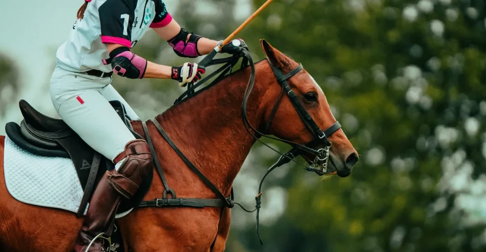 Polo Reiter und Pony währen Polo Wettkampf