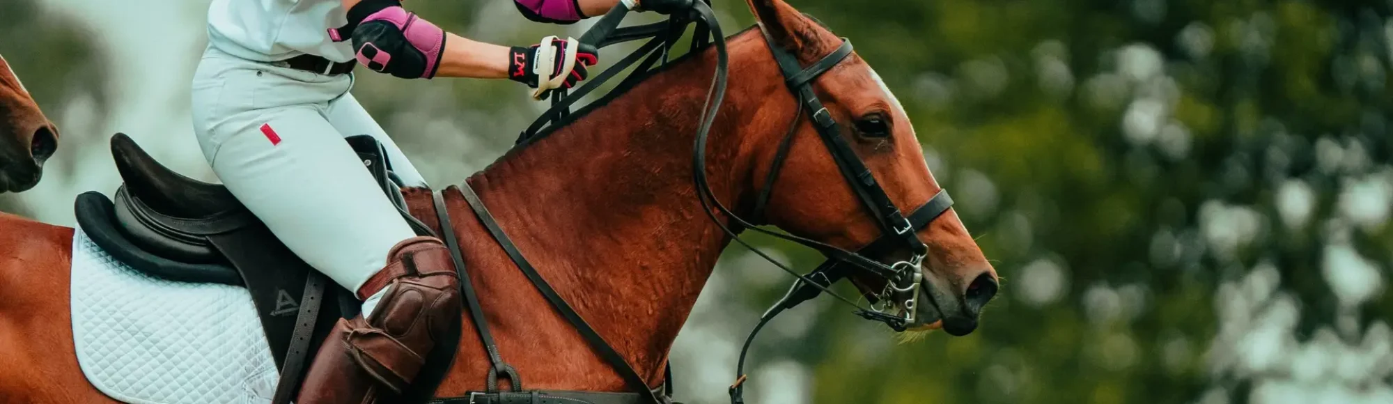 Polo Reiterin und Polo Pony galloppieren