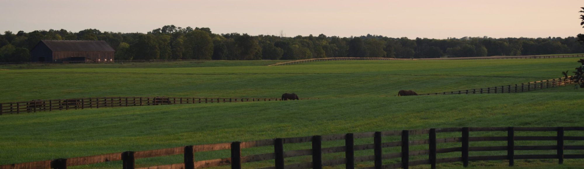 Livery Stable with horses grazing in a fenced in field on lush green grass