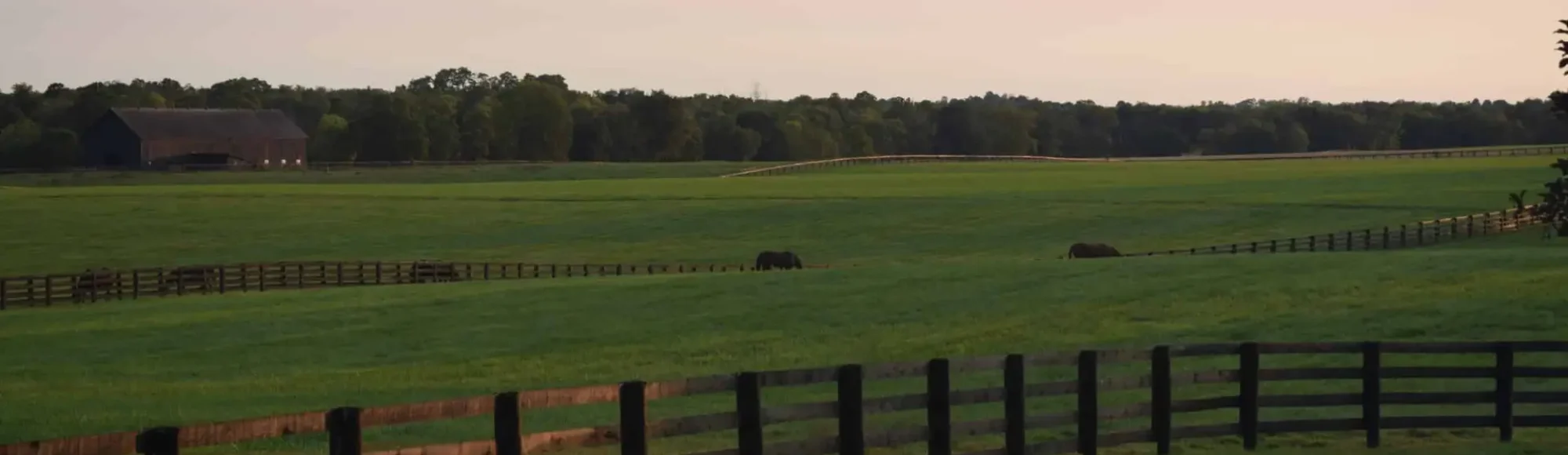 Livery Stable with horses