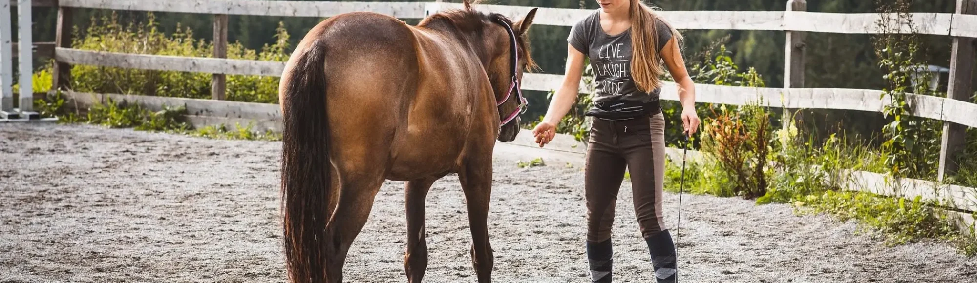 Girl with long blond hair and bay german riding pony stand in outdoor arena doing liberty training
