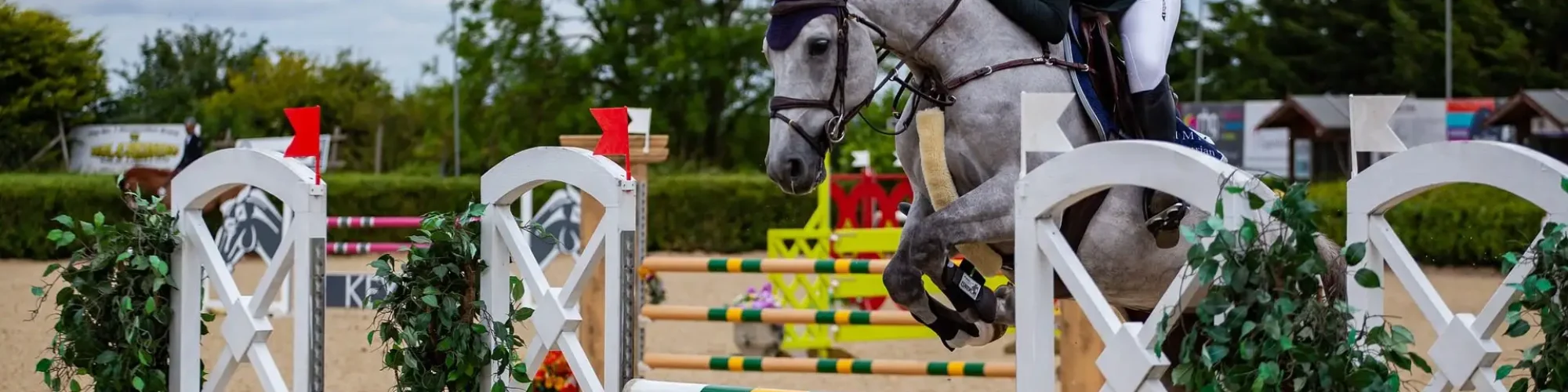 Light grey show-jumper warmblood horse and rider jump over white,green and yellow Obstacle during competition