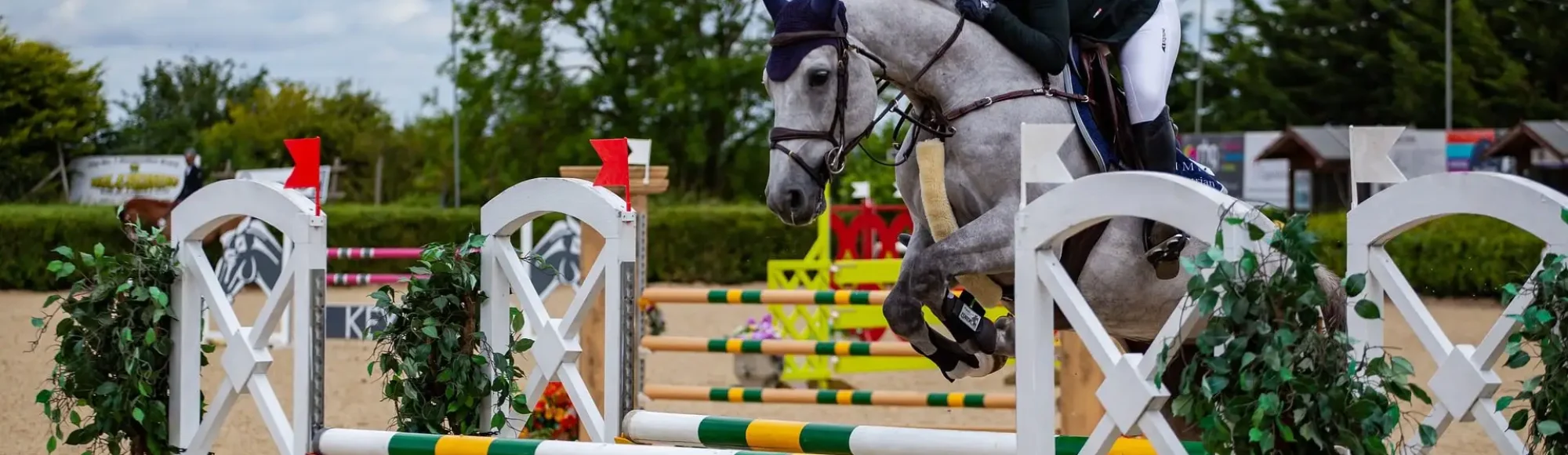 Light grey show-jumper warmblood horse and rider jump over white,green and yellow Obstacle during competition