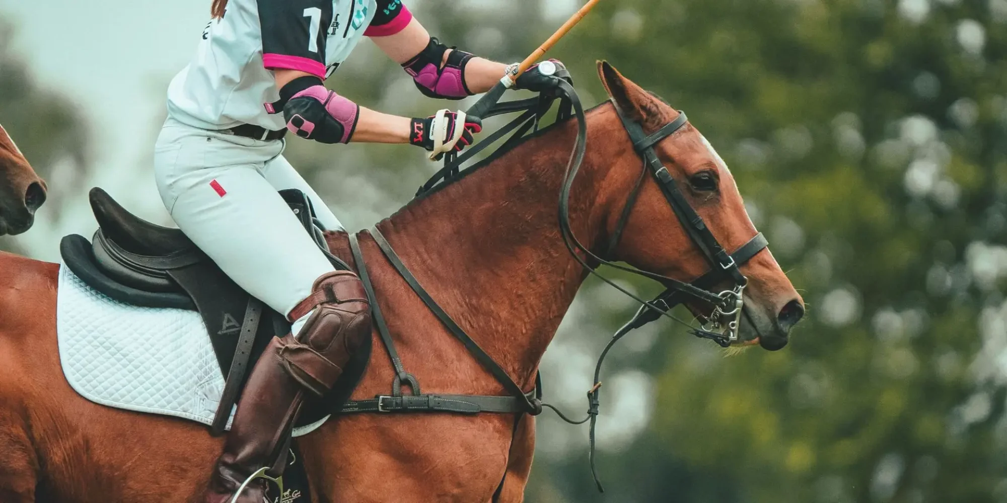 Polo Equestrian Sport Training Plan Session